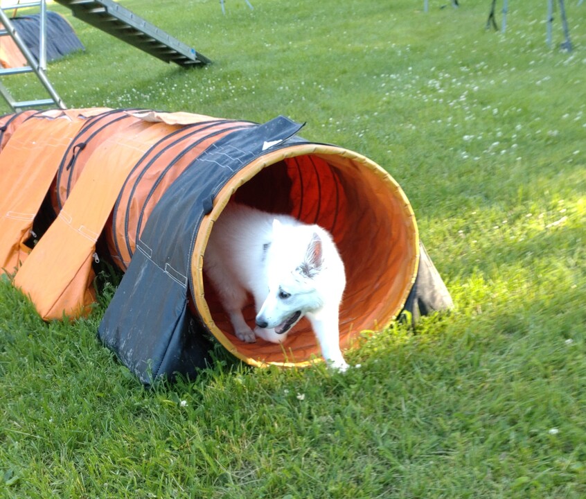 Lumi i tunnel